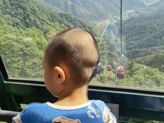 -王顺山国家森林公园