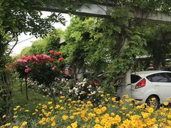 -南通洲际绿博园