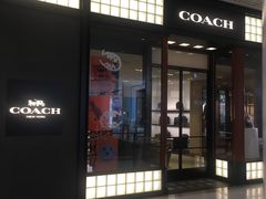 -COACH蔻驰(恒隆广场店)