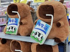 -天河沃尔玛
