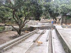 -满記土窑烧鷄波浪山莊