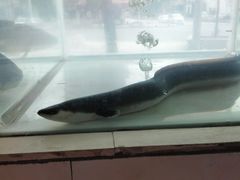 -广客美食坊(丹霞山店)