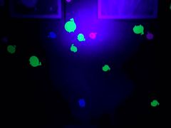 店内环境-上海世茂广场(南京东路店)