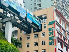 -李子坝梁山鸡(李子坝大鸡哥店)