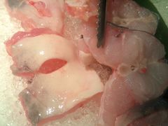 -鱼豆吉·豆浆鱼火锅(宜昌万达店)