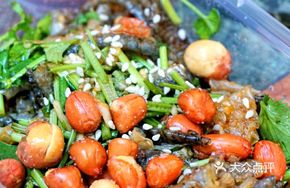 Shunde Carp Skin