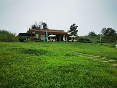 -桤木河湿地公园