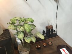 环境-铃木食堂(帽儿胡同店)