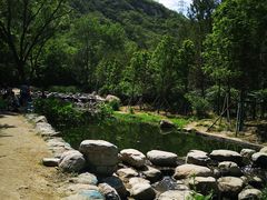 -白水寺森林公园