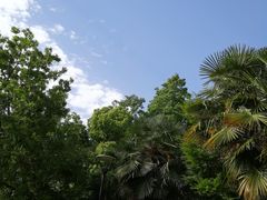 -凤城河风景区