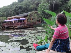 -云溪植物园