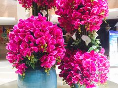 -星巴克(济南美莲广场店)