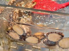 -焰江山海鲜牛排烤肉自助(锦华万达二星店)