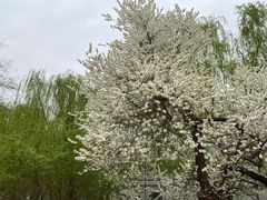 -元大都城垣遗址公园