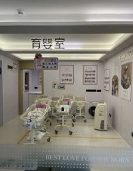 -爱帝宫月子中心(罗湖别墅院)