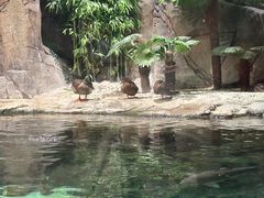 -上海海洋水族馆