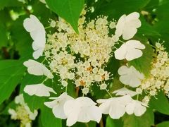 -哈尔滨北方森林动物园