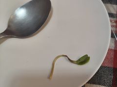 -Barrab restaurant Chiang Rai