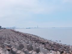 -上海滨江森林公园