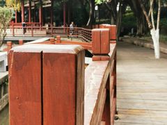 -光明港公园