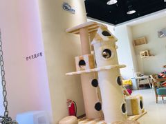 -藏猫猫咖啡主题馆(中央大道店)