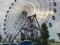 -洋湖国家湿地公园