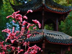 -成都杜甫草堂博物馆