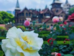 -马勒别墅饭店(静安寺店)