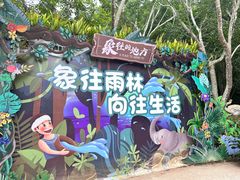 -野象谷景区