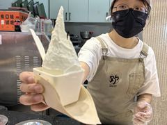 -野人先生现做冰淇淋(西安赛格店)
