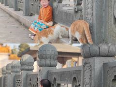-高旻寺