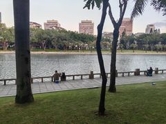 -白鹭洲公园
