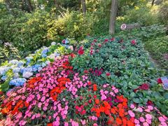 -庐山风景区花径公园