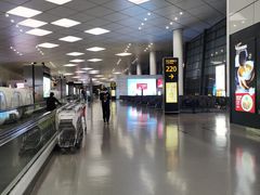 -郑州新郑国际机场-T2航站楼