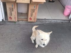 -浦商菜市场·锦德店