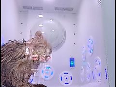 -爱洗澡的猫(望京店)