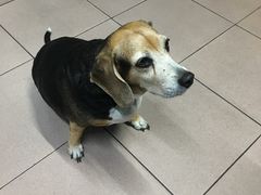 -欧恋洋葱冰淇淋绿豆馔