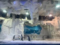 -华夏文旅海洋公园