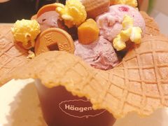 -哈根达斯(国瑞店)