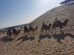 -黄沙古渡原生态旅游区