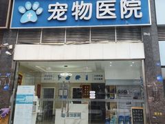 -菲尔斯特宠物医院