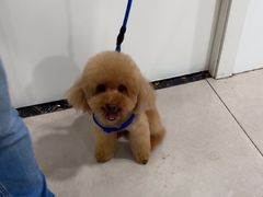 -佳雯宠物医院·皮肤科·内外科(春晓路分院)