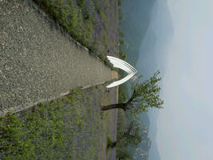 android_upload_pic-紫云台香草园