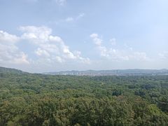 -灵谷景区