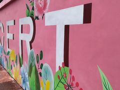 -老字号怡玺·藿香雅鱼(20年雅安店)