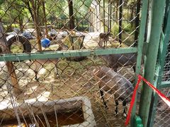 -青藏高原野生动物园