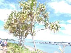 -夏威夷珍珠港