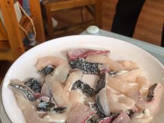 -麻奢鸽农庄·梦里水乡