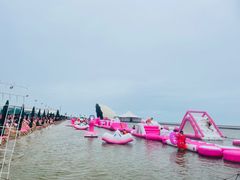 -碧海金沙