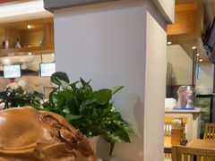 -龙抄手食府(浣花北路店)